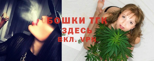 прущая мука Ельня
