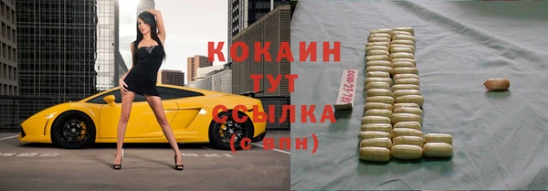 прущая мука Ельня