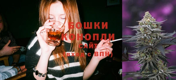 прущая мука Ельня