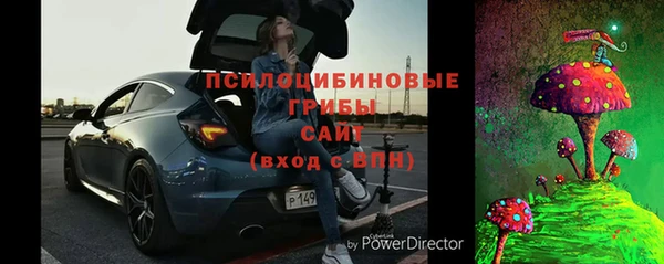 прущая мука Ельня