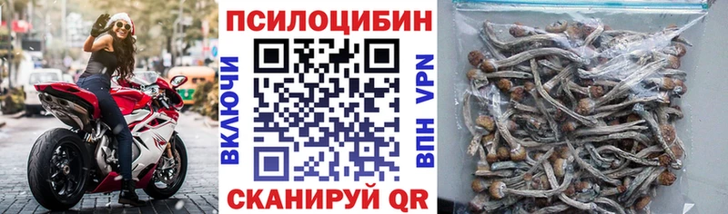 Галлюциногенные грибы Psilocybe Купить где Алупка